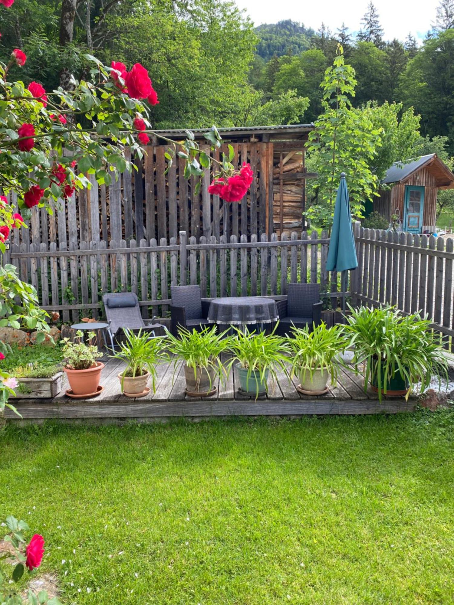 Ferienwohnung Laimer, Radau 37 Saint Wolfgang Eksteriør billede